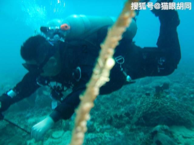 冰洞逃生